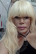 Milano Trans Escort Nicole Vip Venturiny 353 35 38 868 foto selfie 611