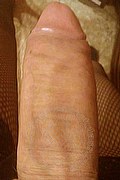 Voghera Trans Escort Sheylla Cavallona 392 85 42 214 foto selfie 16