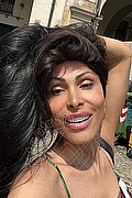 Padova Trans Karla Volvo 351 00 68 448 foto selfie 11