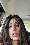 Padova Trans Karla Volvo 351 00 68 448 foto selfie 9