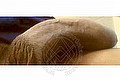 Vibo Valentia Trans Escort Lucrezia Hikman 351 29 44 990 foto selfie 101
