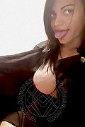 Vibo Valentia Trans Escort Lucrezia Hikman 351 29 44 990 foto selfie 30