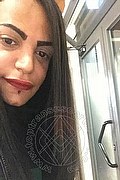 Vibo Valentia Trans Escort Lucrezia Hikman 351 29 44 990 foto selfie 49