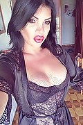 Firenze Trans Elly 324 99 87 403 foto selfie 153
