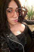Torino Trans Escort Amanda Ferr 347 53 82 615 foto selfie 33