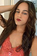 Bologna Trav Escort Victoria New 339 43 37 857 foto selfie 27