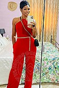 Bassano Del Grappa Escort Ale Gold 328 26 16 337 foto selfie 6