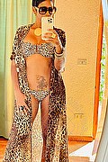 Bassano Del Grappa Escort Ale Gold 328 26 16 337 foto selfie 3