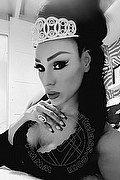 Mantova Trans Escort Regina Mey 324 90 41 800 foto selfie 26