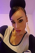 Mantova Trans Escort Regina Mey 324 90 41 800 foto selfie 18