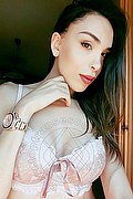 Arezzo Trans Escort Fernanda Tavares 366 70 13 803 foto selfie 73