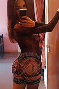 Firenze Trans Fernanda Tavares 366 70 13 803 foto selfie 139