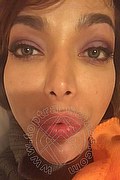 Legnano Trans Barbie Mitica 389 31 26 858 foto selfie 164