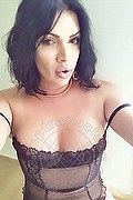 Firenze Trans Elly 324 99 87 403 foto selfie 143