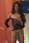 Bari Trans Escort Miranda Pinocchio Pornostar 329 44 49 590 foto selfie 6