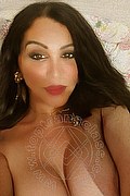 Padova Trans Rosa Xxxl 328 74 36 345 foto selfie 39