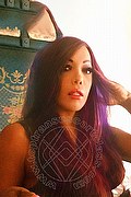 Novara Trans Escort Electra Dior 345 22 07 459 foto selfie 13