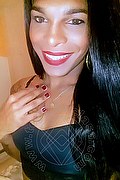 Roma Trav Thais Melo 388 32 39 396 foto selfie 141