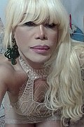 Milano Trans Escort Nicole Vip Venturiny 353 35 38 868 foto selfie 599