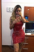 Milano Trans Escort Eva B 320 03 97 565 foto selfie 64