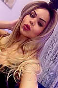 Milano Trans Eva B 320 03 97 565 foto selfie 58
