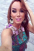 Milano Trans Kalena Rios Pornostar 377 38 72 350 foto selfie 165