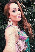 Milano Trans Kalena Rios Pornostar 377 38 72 350 foto selfie 162