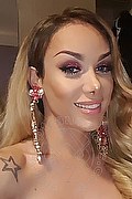 Milano Trans Kalena Rios Pornostar 377 38 72 350 foto selfie 79