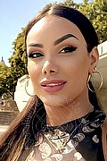 Milano Trans Kalena Rios Pornostar 377 38 72 350 foto selfie 25
