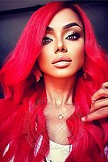 Lucca Trans Escort Veronika Havenna Pornostar 392 83 57 621 foto selfie 33