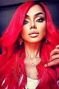 Pontedera Trans Veronika Havenna Pornostar 392 83 57 621 foto selfie 66