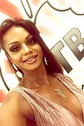 Lucca Trans Escort Veronika Havenna Pornostar 392 83 57 621 foto selfie 24