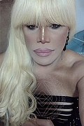 Milano Trans Escort Nicole Vip Venturiny 353 35 38 868 foto selfie 644