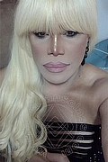 Milano Trans Nicole Vip Venturiny 353 35 38 868 foto selfie 152