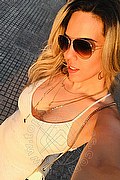 Milano Trans Michelly Sahad 333 81 87 063 foto selfie 23