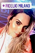 Milano Trans Michelly Sahad 333 81 87 063 foto selfie 67