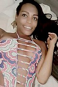 Firenze Trans Naomy Tx 329 01 67 932 foto selfie 28