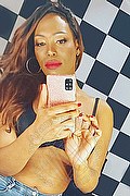 Napoli Trans Escort Naomy Tx 329 01 67 932 foto selfie 4
