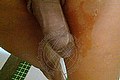 Napoli Trans Escort Naomy Tx 329 01 67 932 foto selfie 154