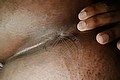 Napoli Trans Escort Naomy Tx 329 01 67 932 foto selfie 140