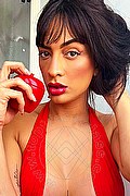Gallarate Trans Louise 344 42 85 497 foto selfie 8