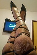 Pisa Trans Escort Bruna Dion 351 22 45 829 foto selfie 34