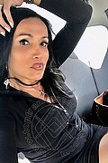 Arezzo Trans Escort Susanna Tx 334 15 56 267 foto selfie 8