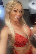 Villorba Trans Escort Pamy La Diva Stellare 324 78 19 703 foto selfie 142