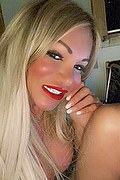 Villorba Trans Escort Pamy La Diva Stellare 324 78 19 703 foto selfie 113