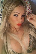 Villorba Trans Escort Pamy La Diva Stellare 324 78 19 703 foto selfie 100