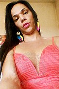 Livorno Trans Escort Giuliana Fragolina 329 08 21 228 foto selfie 356