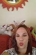 Livorno Trans Escort Giuliana Fragolina 329 08 21 228 foto selfie 308