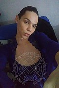 Livorno Trans Escort Giuliana Fragolina 329 08 21 228 foto selfie 239