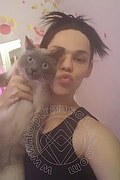 Genova Trans Giuliana Senna 329 08 21 228 foto selfie 244